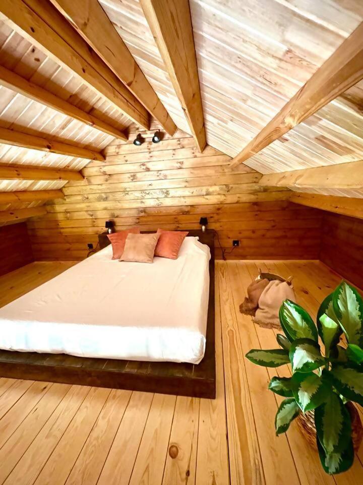 Mountain Eco Shelter 3 Hotell Corujeira de Dentro Exteriör bild